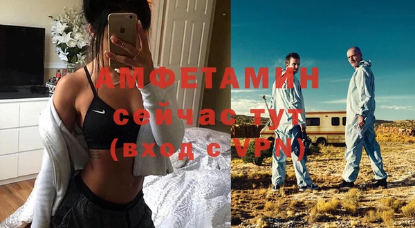 стаф Бородино