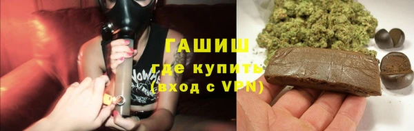 стаф Бородино
