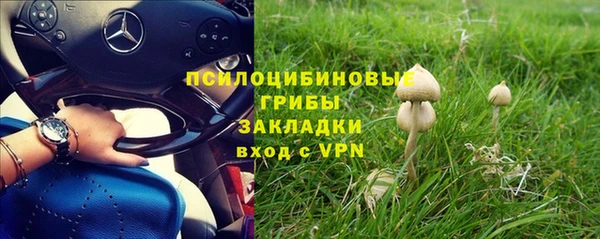 стаф Бородино