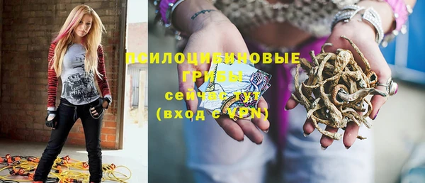 мдпв Волосово
