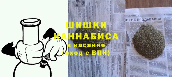 стаф Бородино