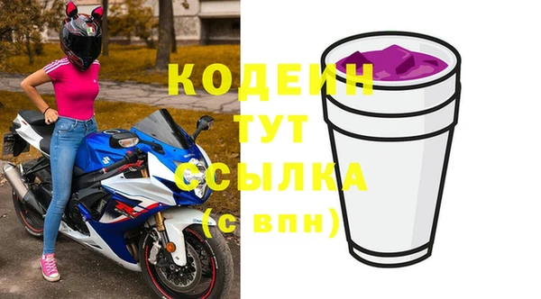 гидра Верхний Тагил