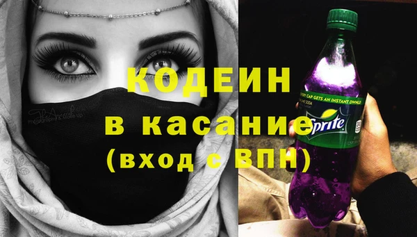 стаф Верея