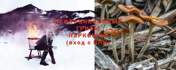 мдпв Волосово