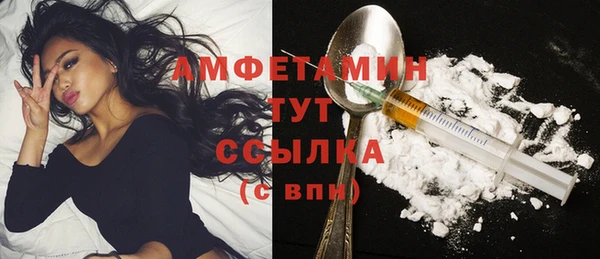 стаф Бородино