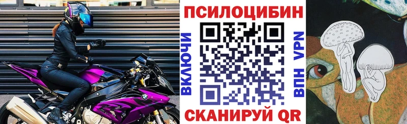 Псилоцибиновые грибы Magic Shrooms  сколько стоит  Няндома 